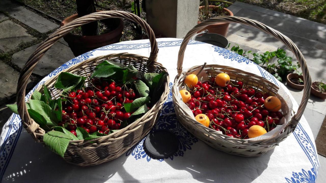 The Italian Riviera Bed & Breakfast San Salvatore  ภายนอก รูปภาพ