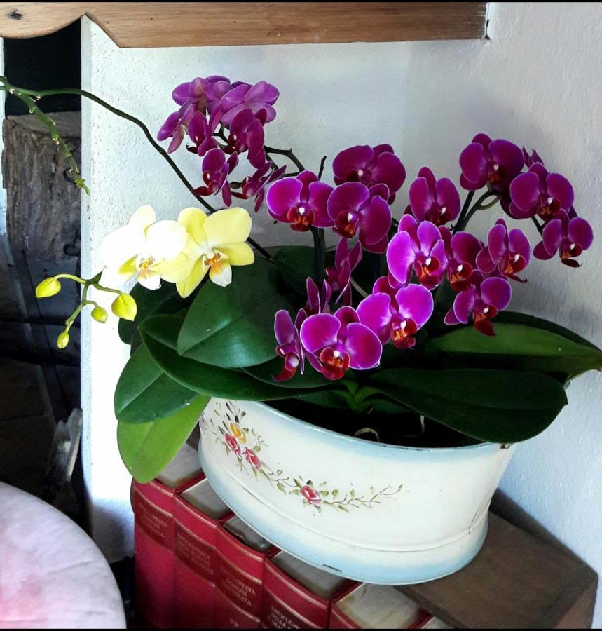 The Italian Riviera Bed & Breakfast San Salvatore  ภายนอก รูปภาพ