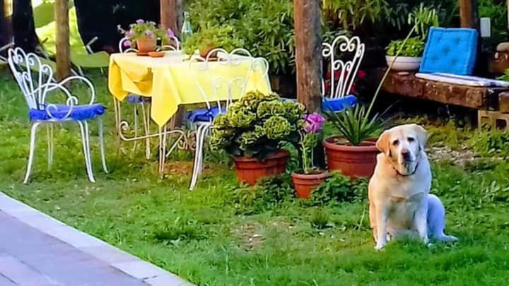 The Italian Riviera Bed & Breakfast San Salvatore  ภายนอก รูปภาพ